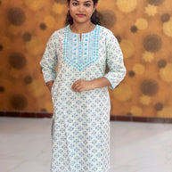 Budget Friendly Kurtis - BFK 0048